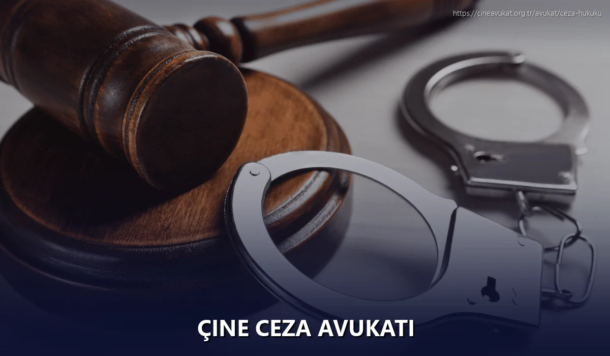 Çine Ceza Avukatı